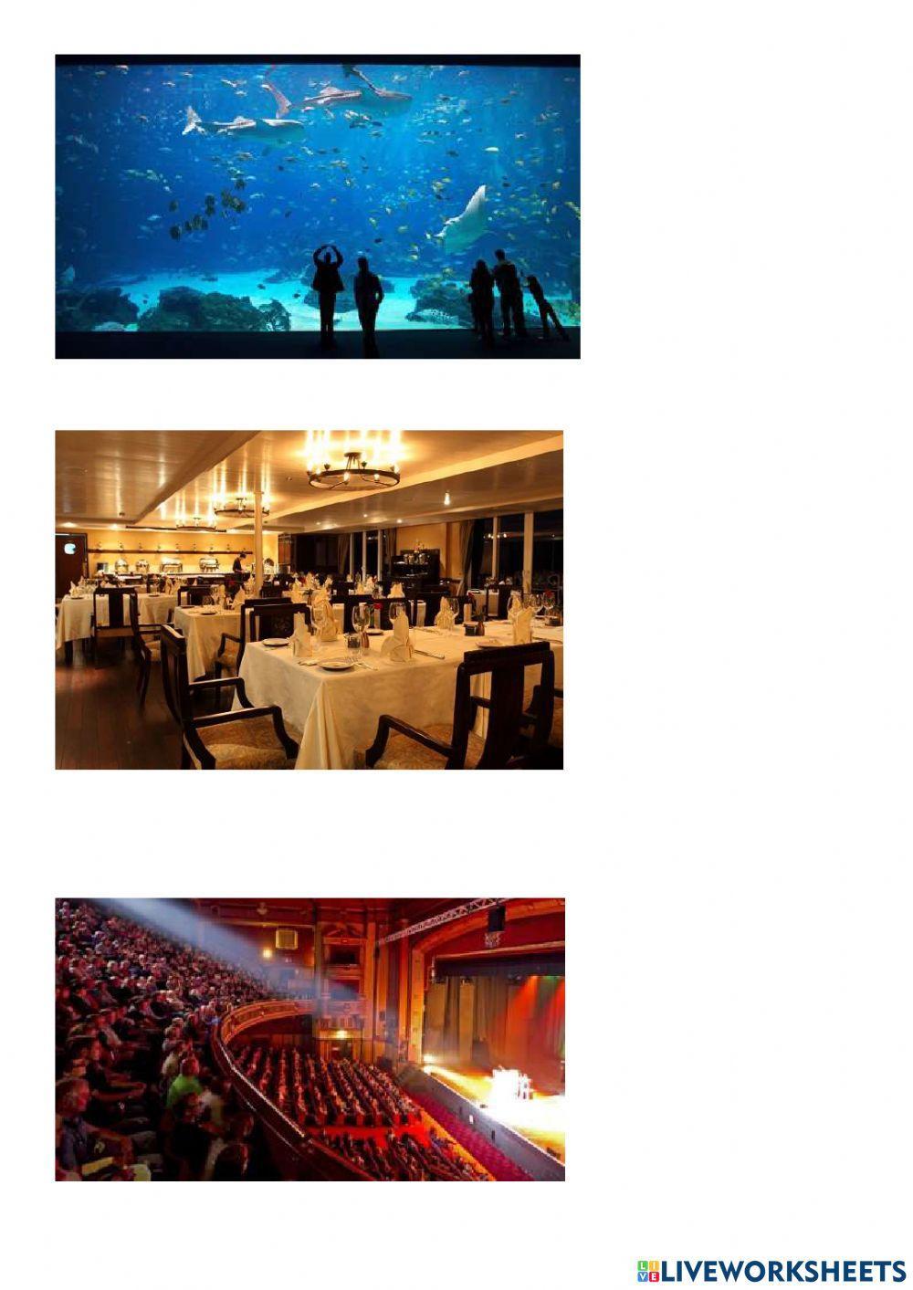 Spotlight 6 revision