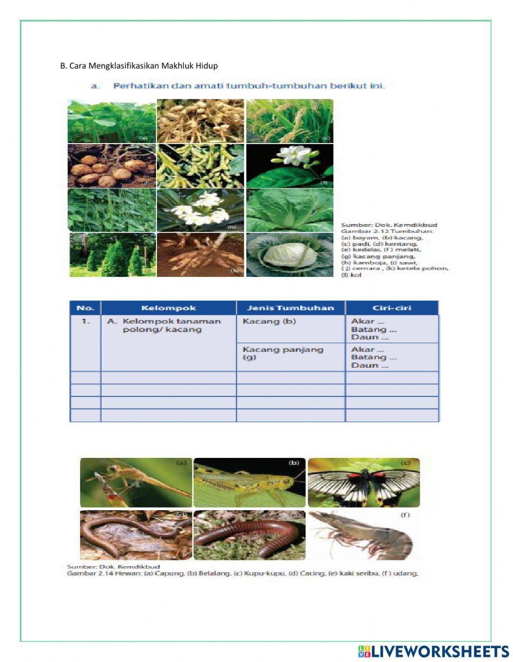 LKPD kelas 7 3.2 Klasifikasi tumbuhan