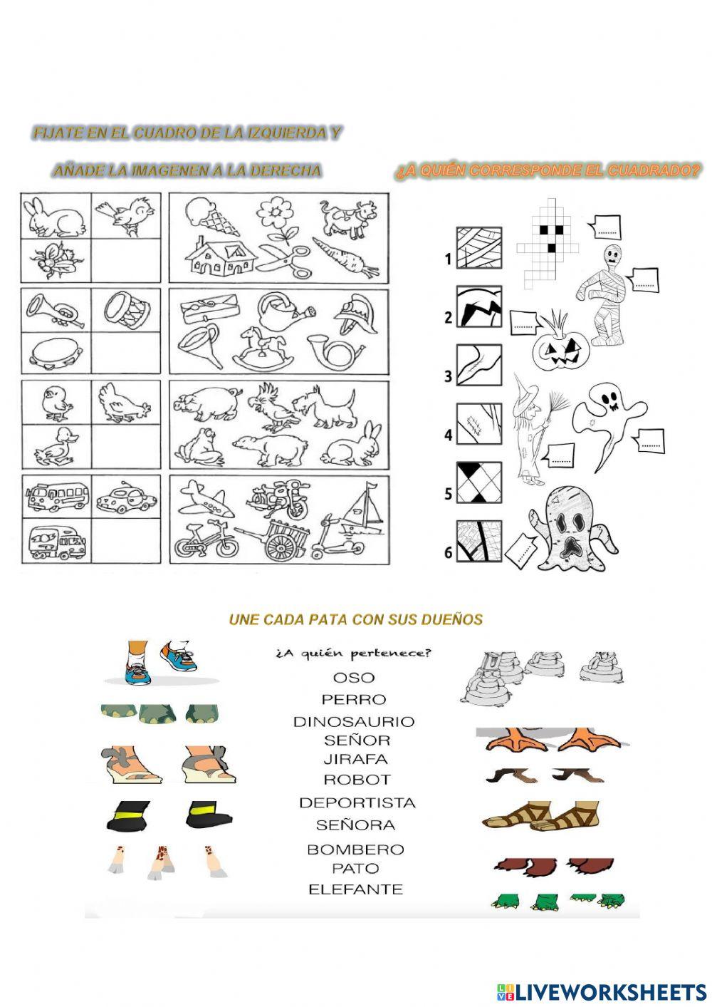 ¿Cuál es la imagen correcta?