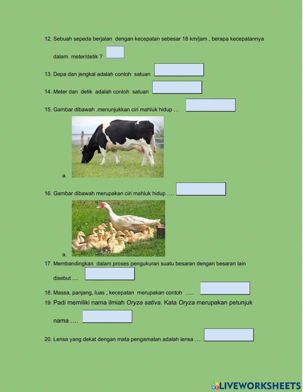 Latihan soal kelas 7