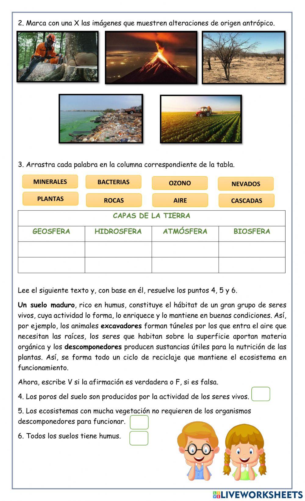 Equilibrio ecológico