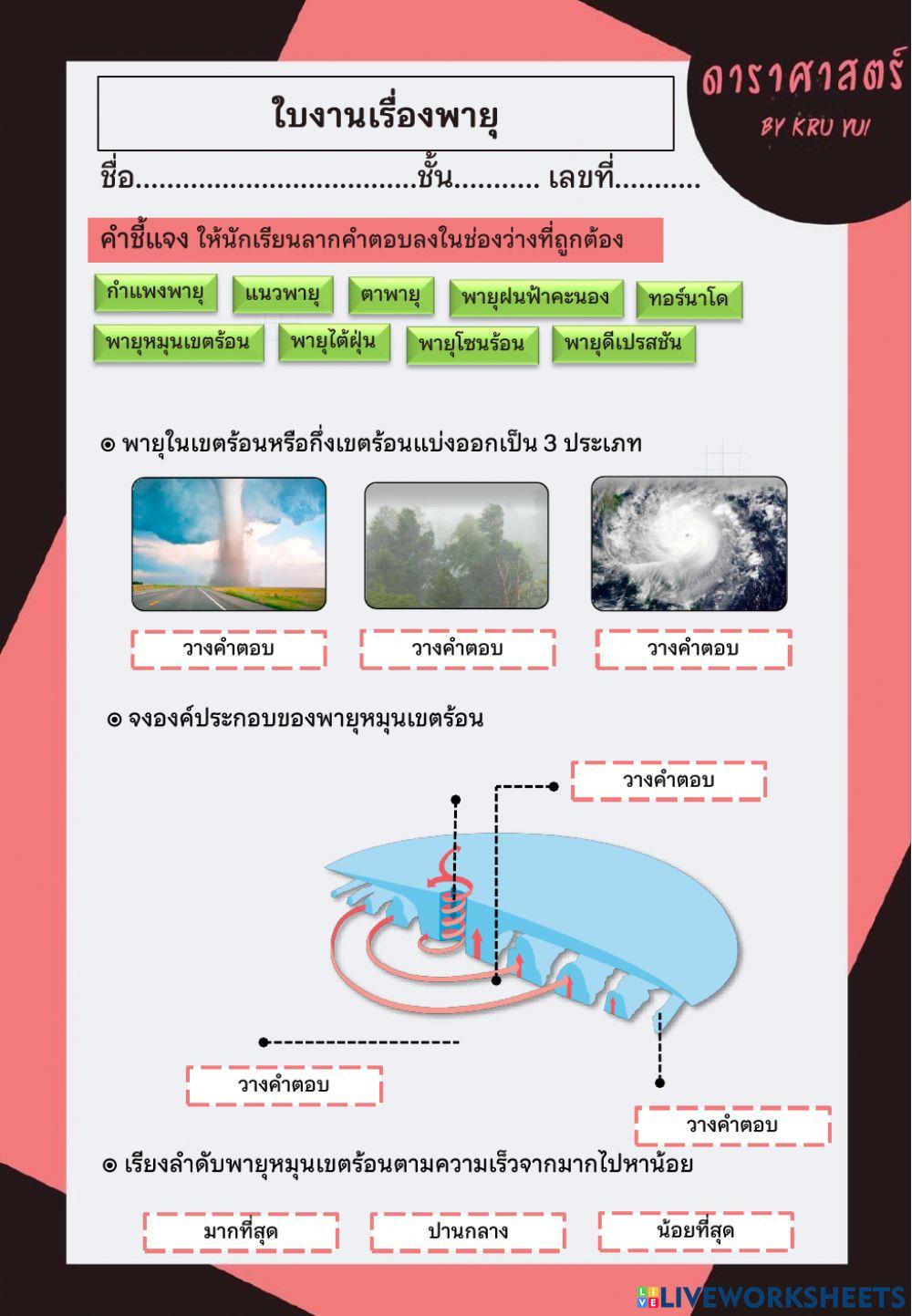 ใบงานพายุ