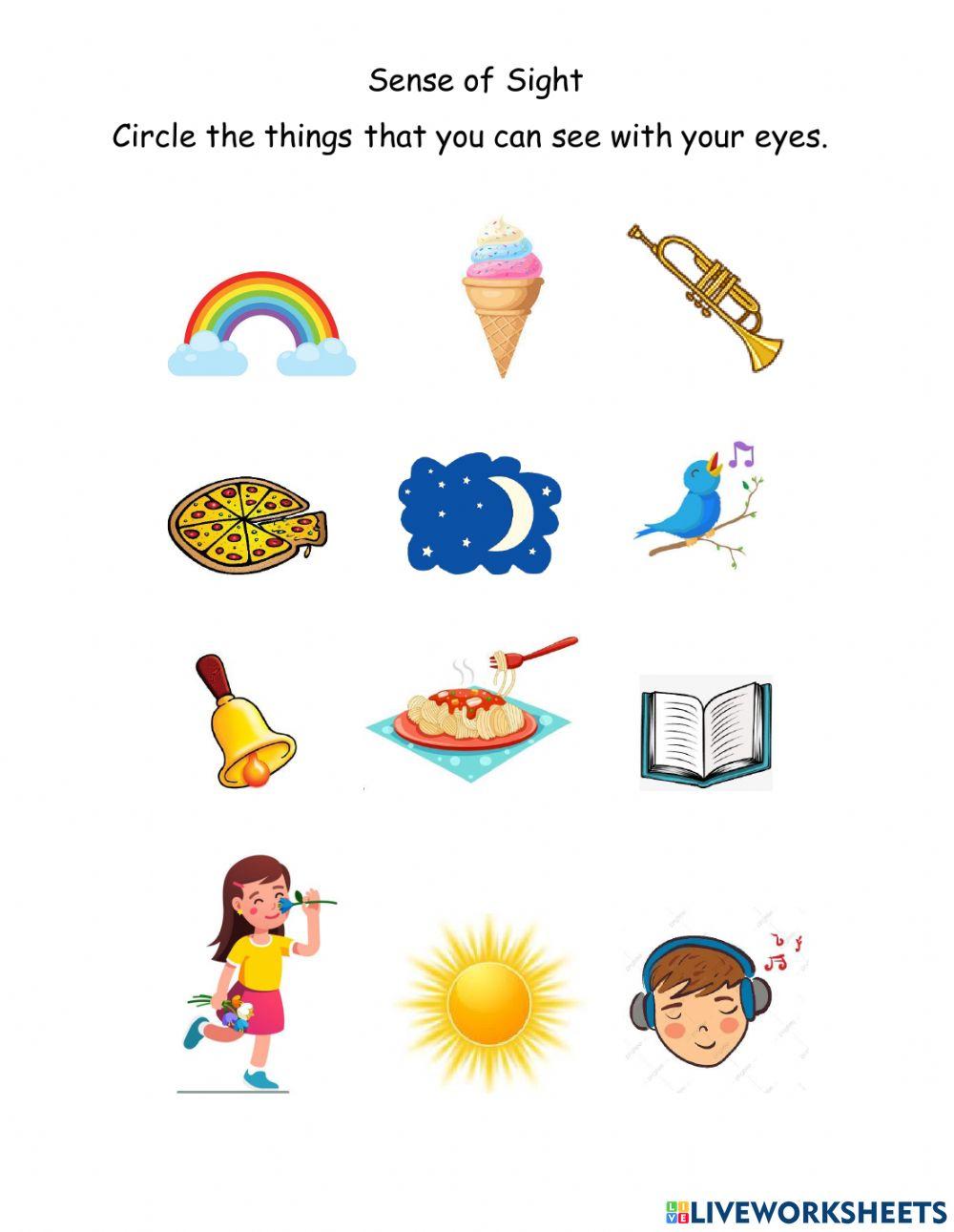 sense-of-sight-online-exercise-live-worksheets