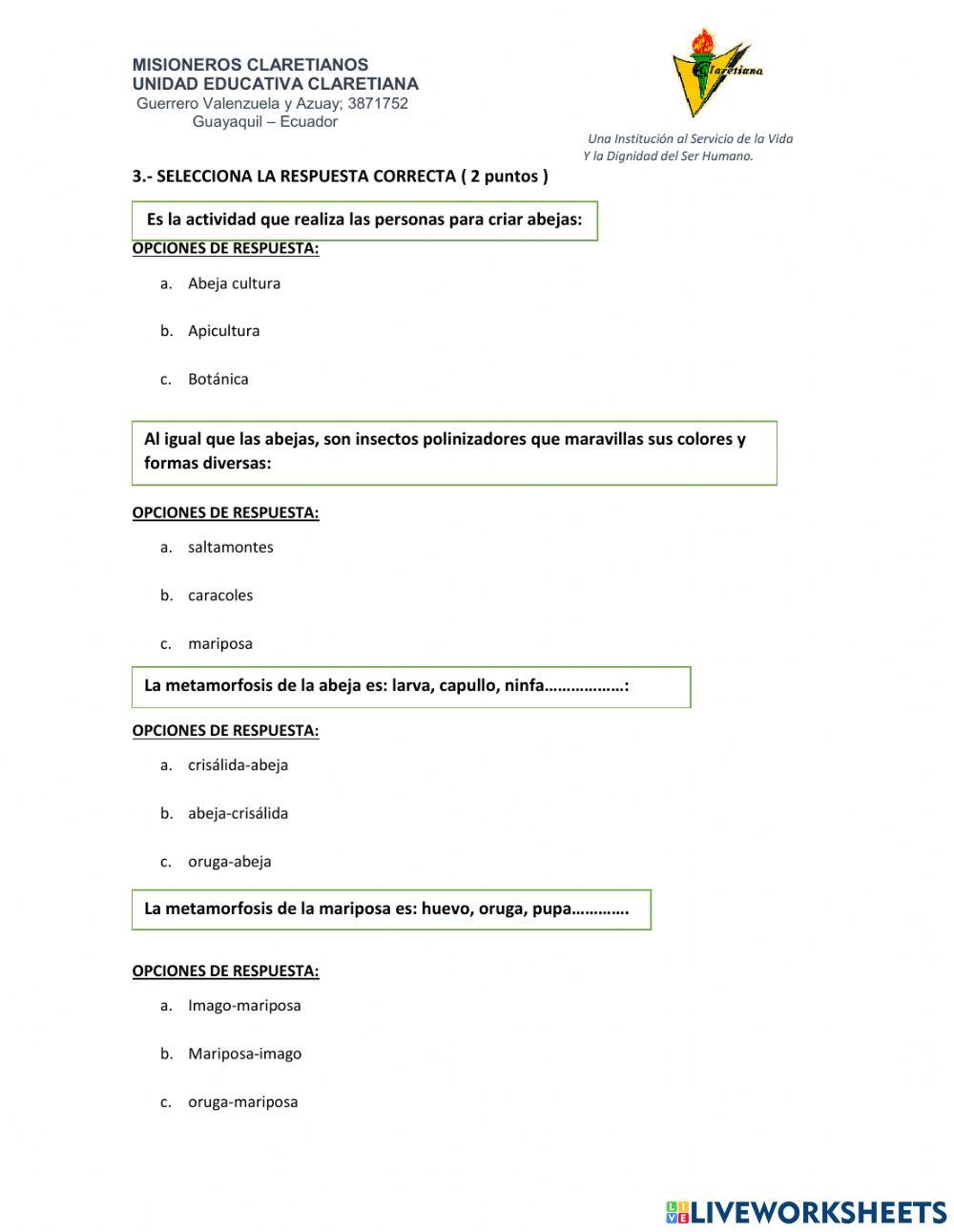 Evaluacion II Parcial