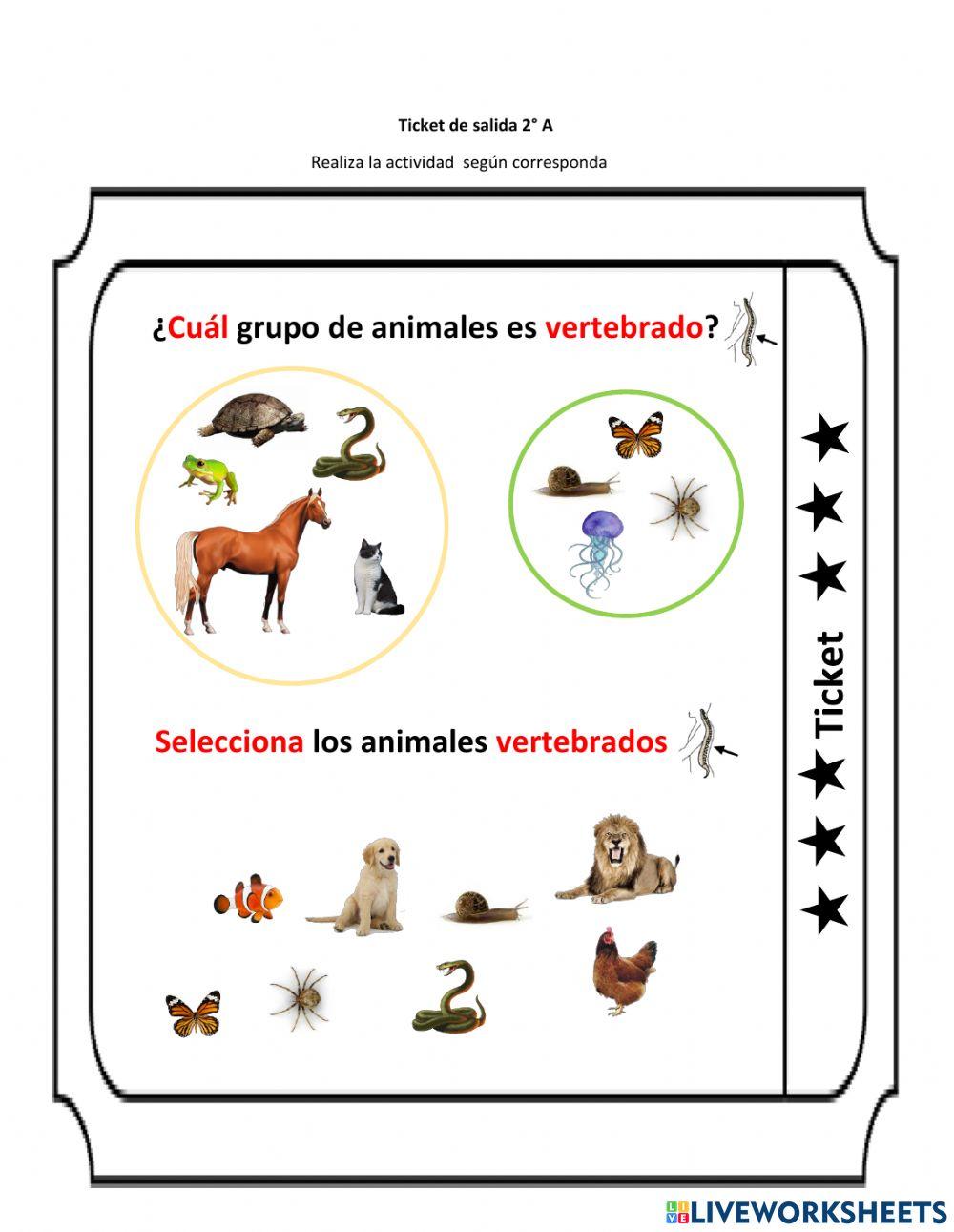 Animales vertebrados 