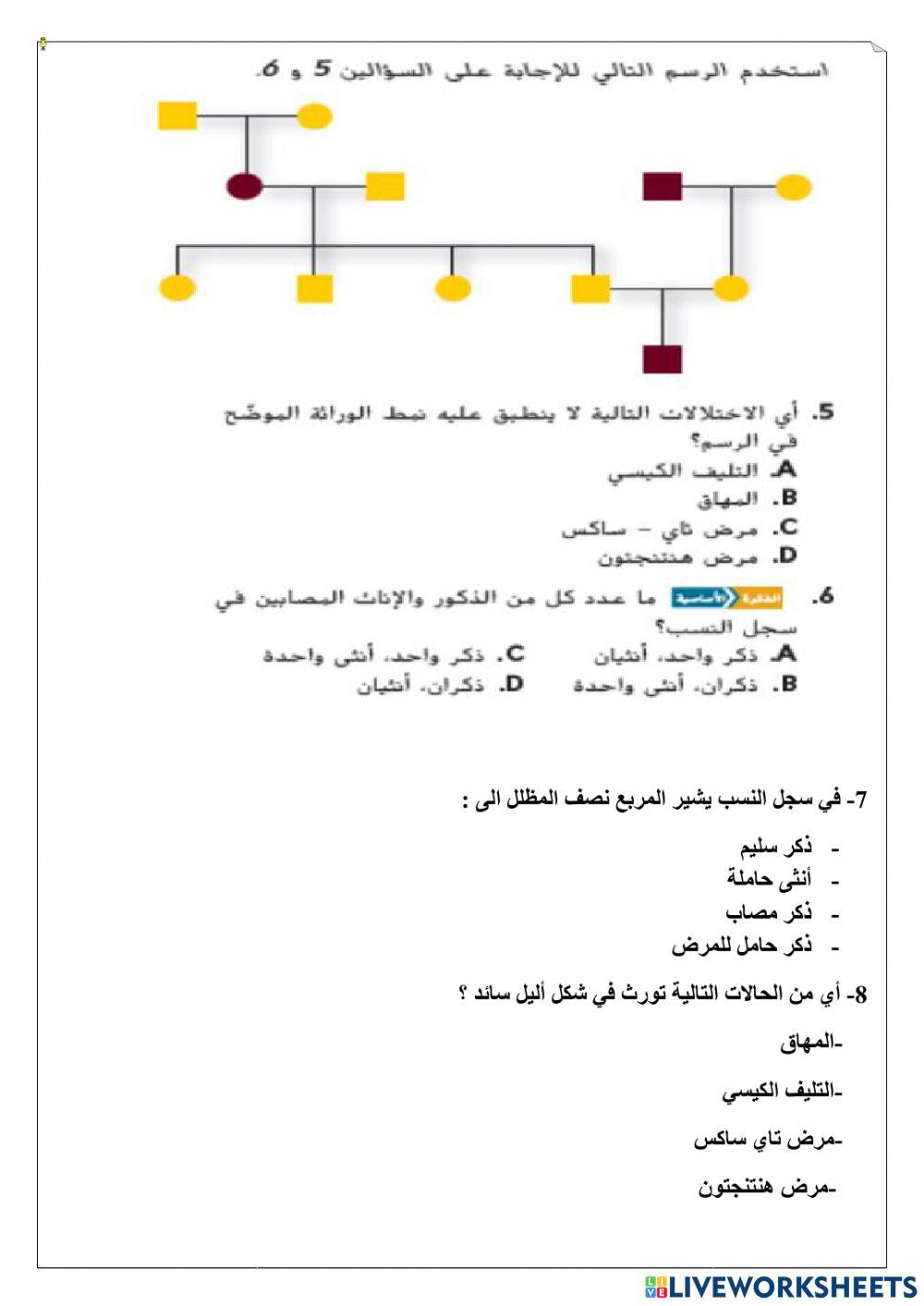 ورقة عمل تفاعلية