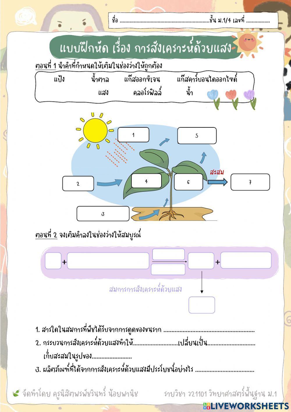แบบฝึกหัด เรื่อง การสังเคราะห์ด้วยแสง