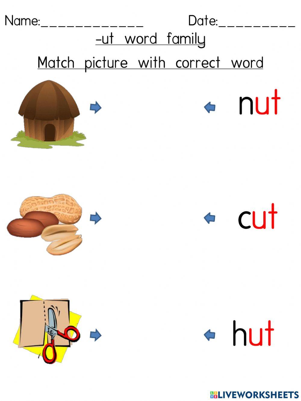 -ut word family (Match picture with correct word)-1