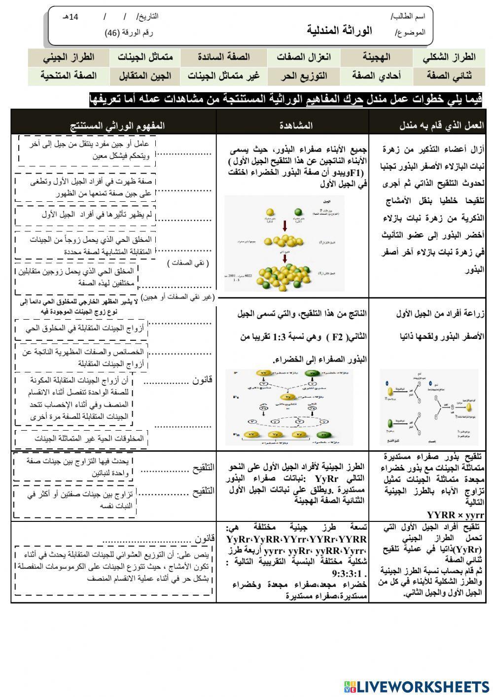 ورقة 46تفاعلية3