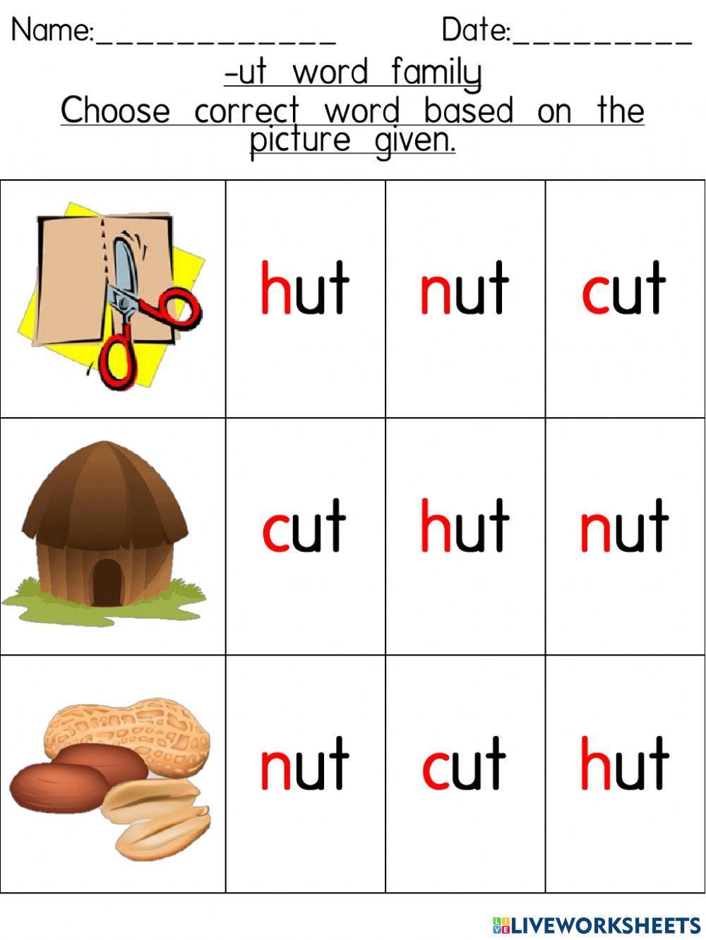ut word family (Choose correct word based on the picture given)4