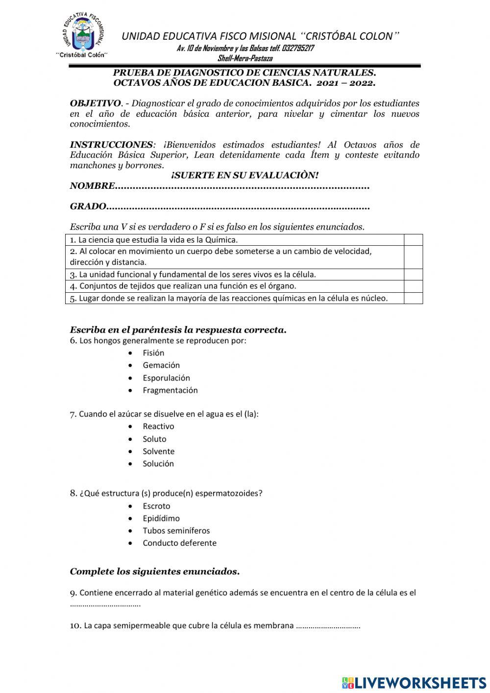 Prueba diagnóstica - cc.nn