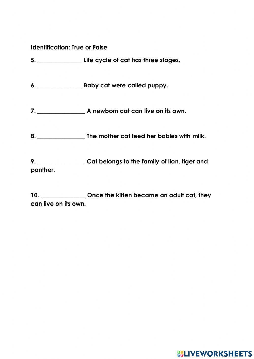 Grade 2 life cycle of cat  activity