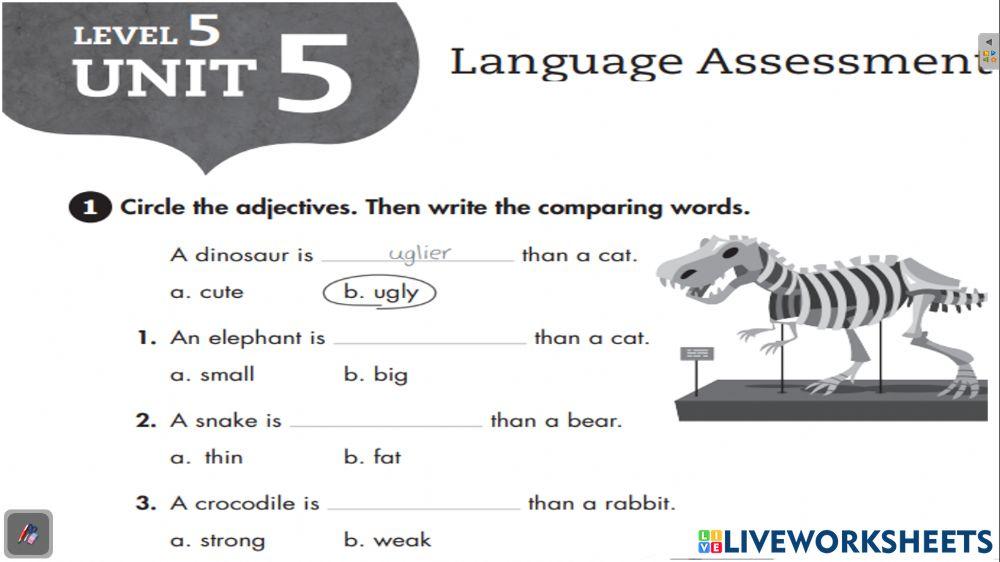 Test 1 -5th grade - saco oliveros unit 5