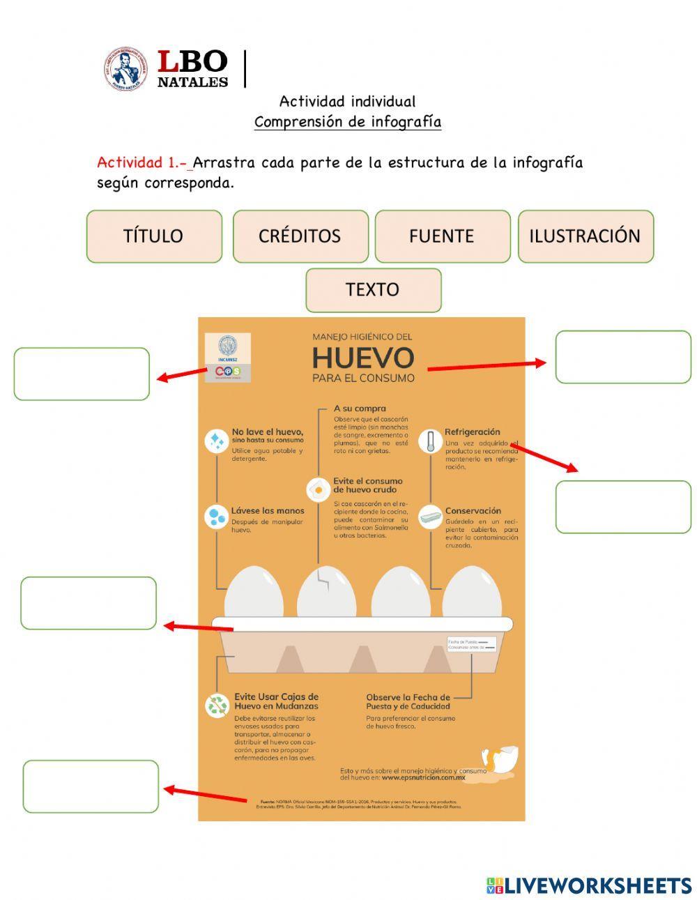 Actividad individual: Comprendiendo infografías
