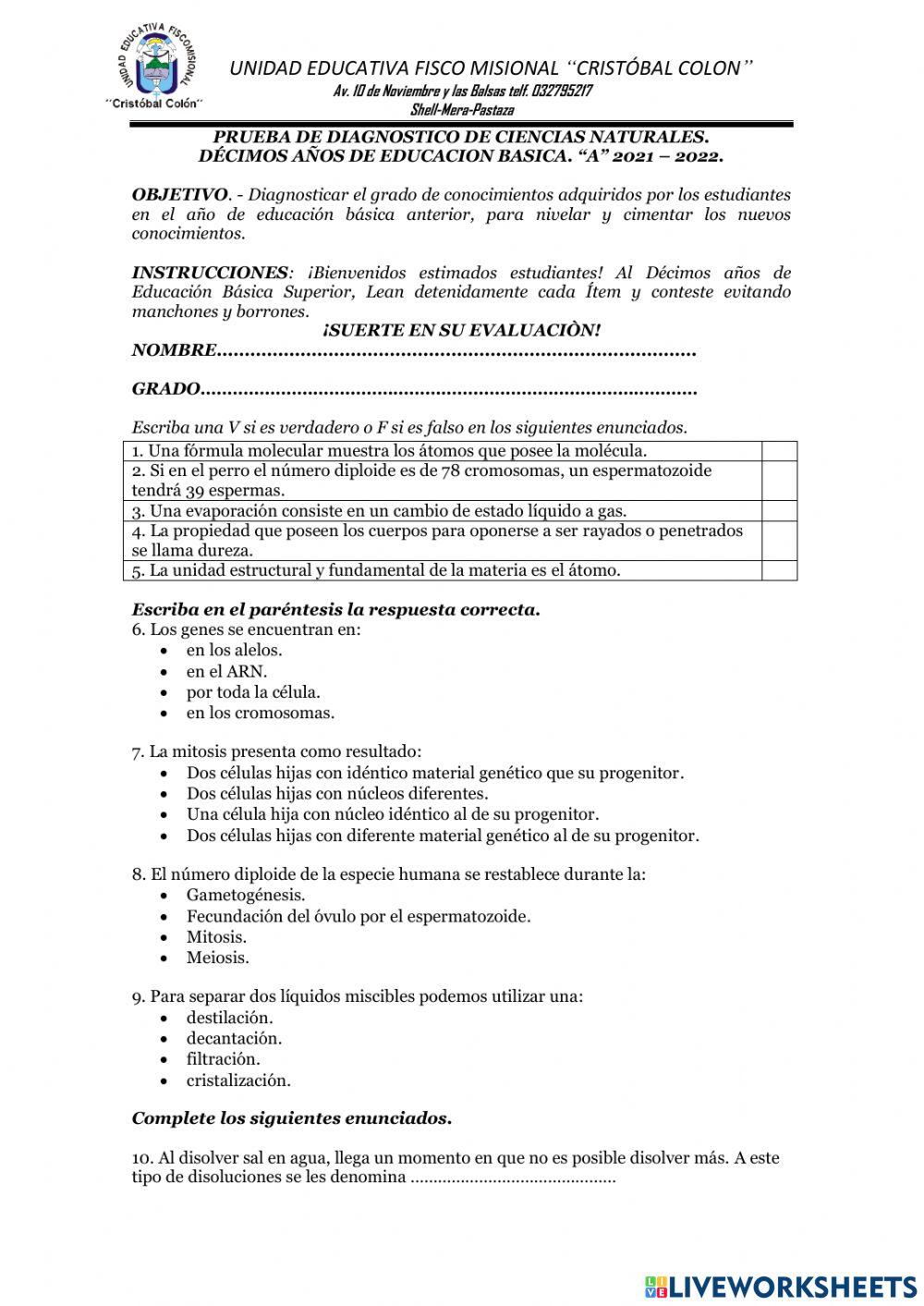 Prueba diagnóstica - cc.nn -10