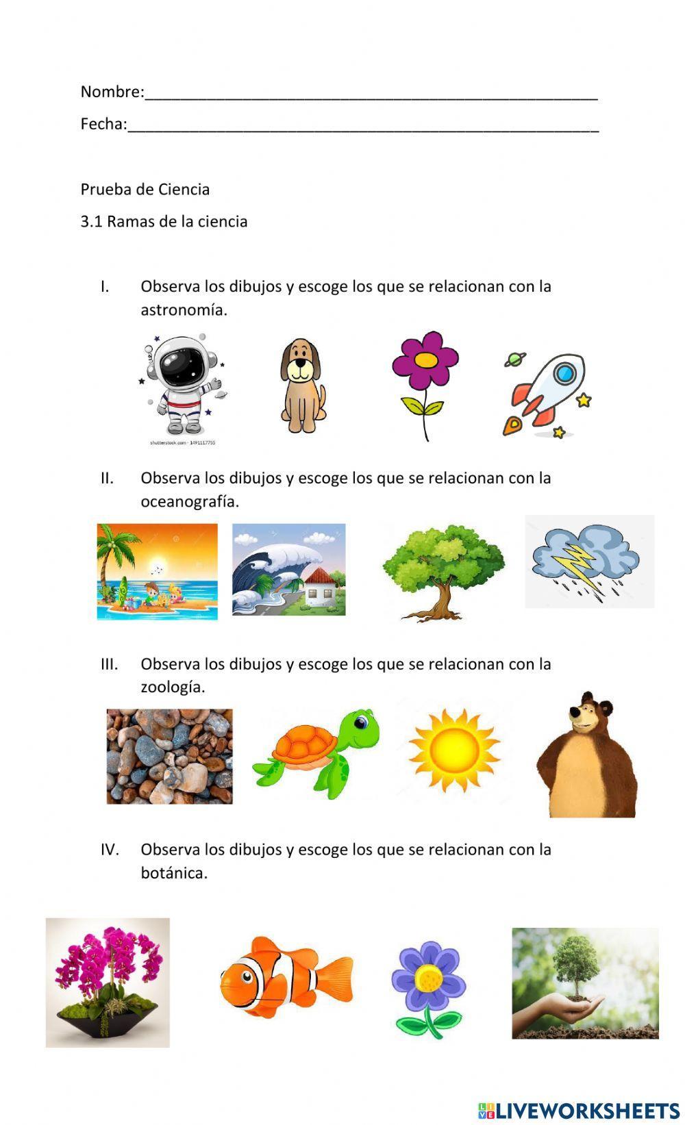 Prueba ramas de la ciencia