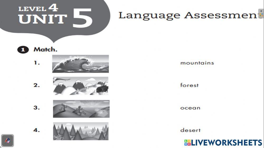 Test 1 -4th grade - saco oliveros unit 5