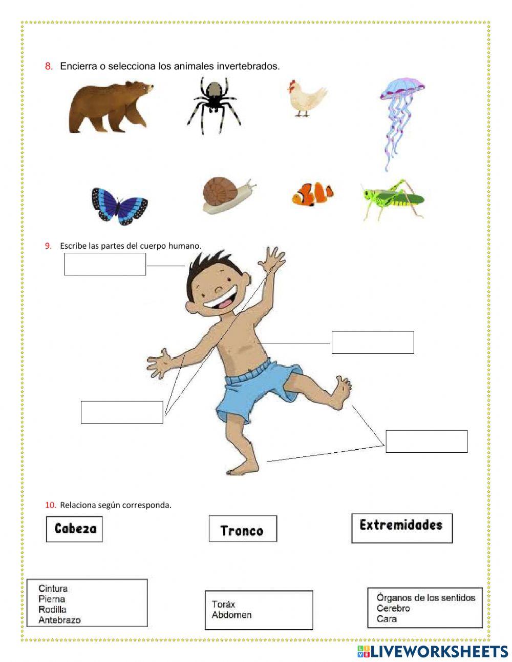 Evaluación ciencias 3-tercer periodo
