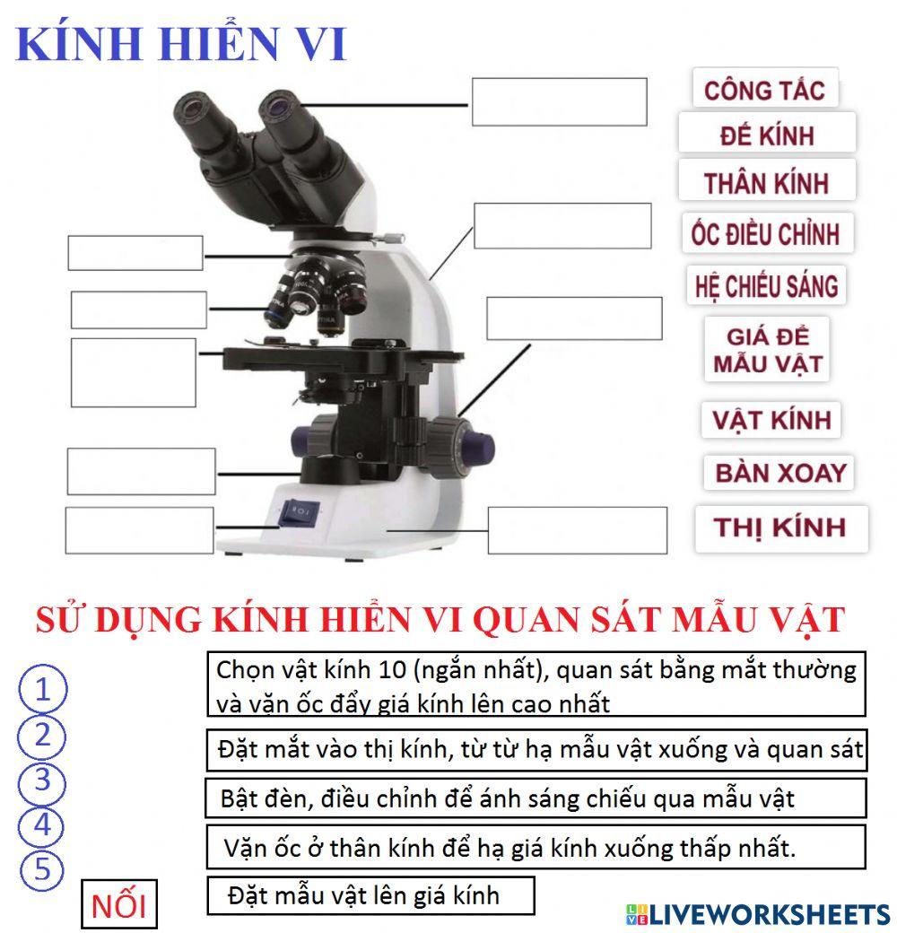 CẤU TẠO KÍNH HIỂN VI