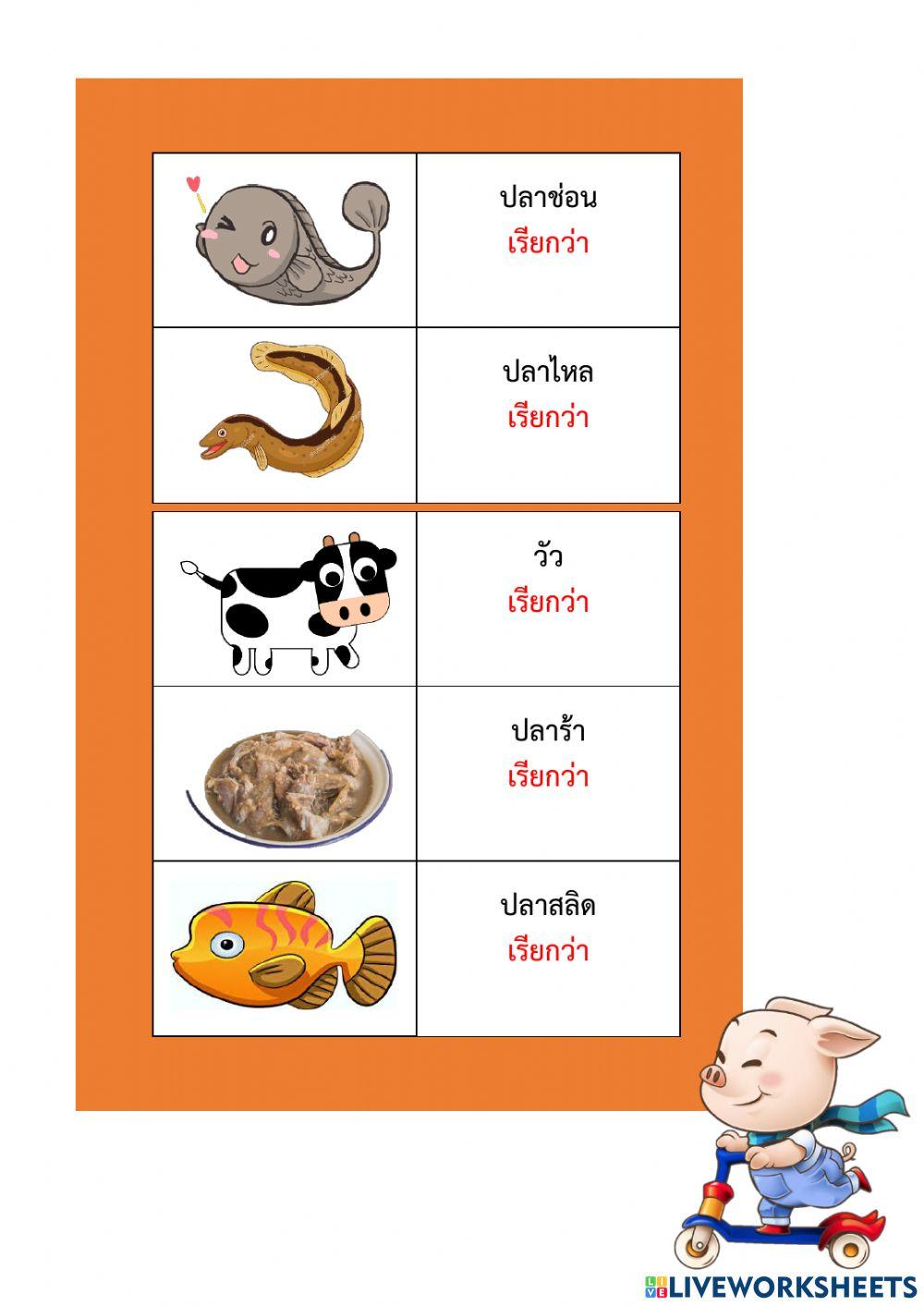 แบบฝึกทักษะ เรื่อง คำสุภาพ ม.2
