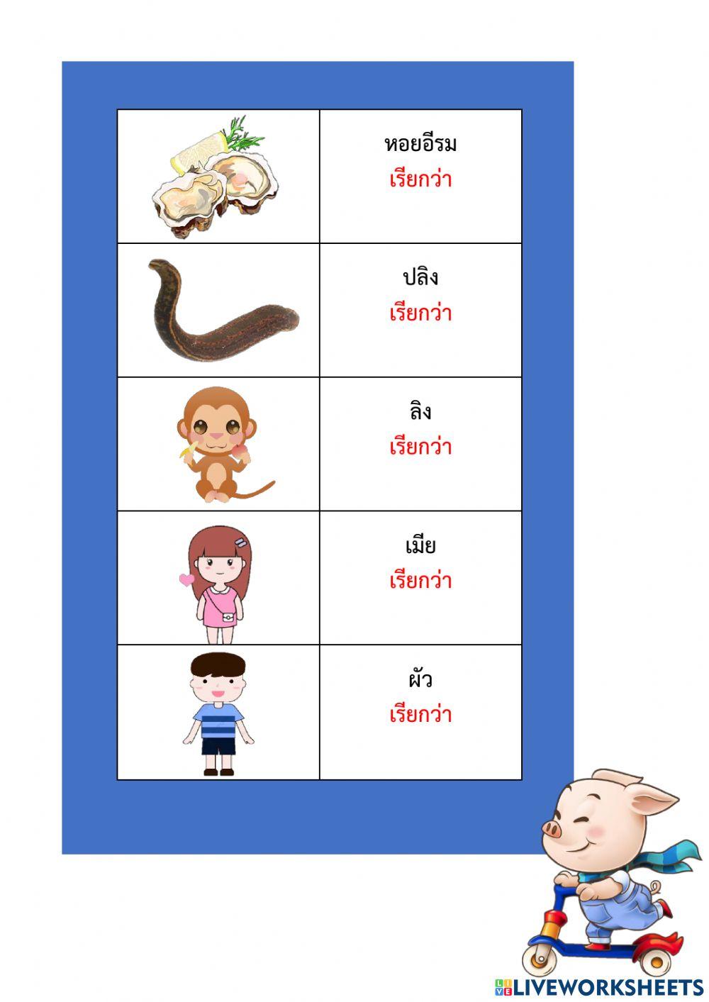 แบบฝึกทักษะ เรื่อง คำสุภาพ ม.2