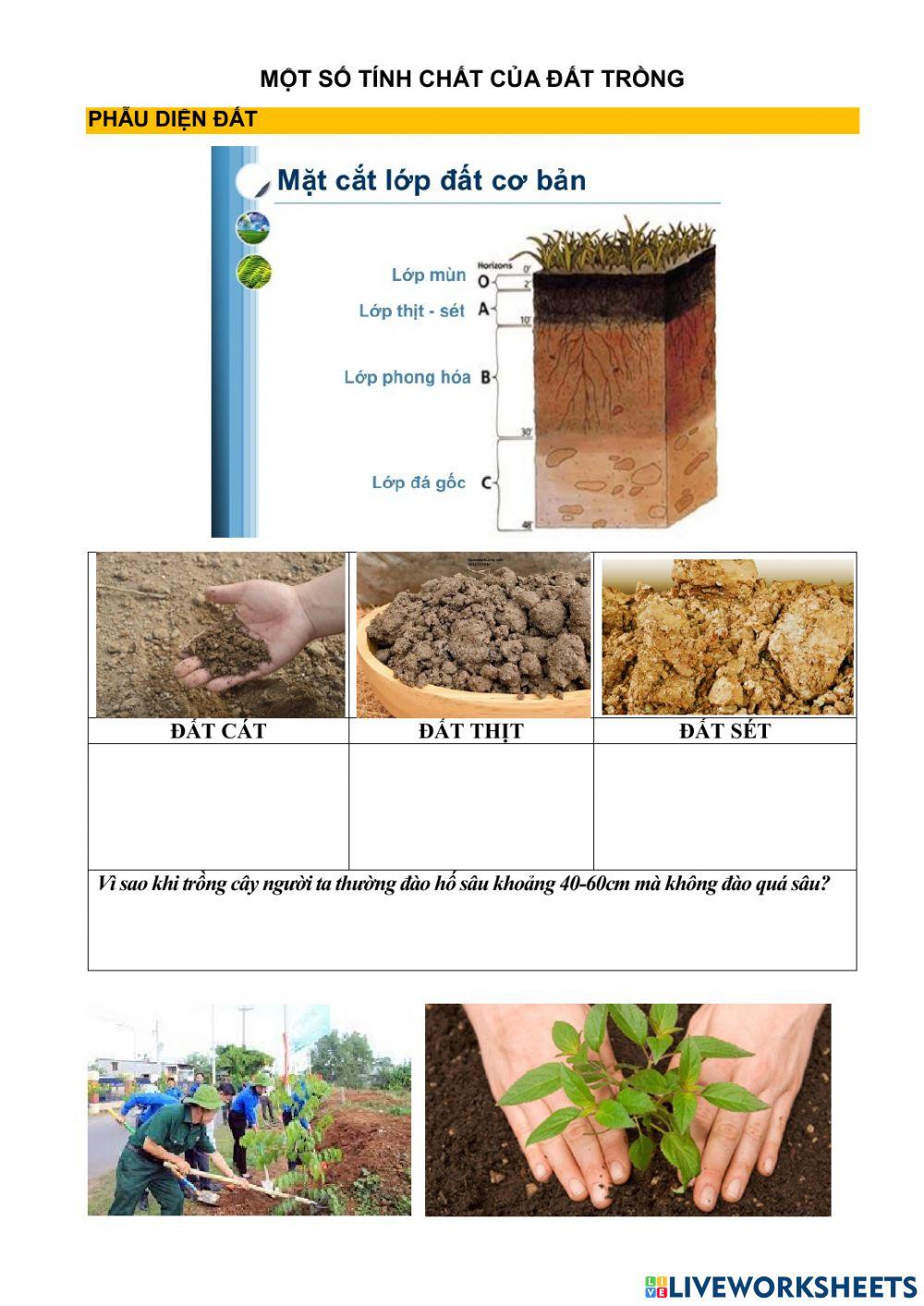 Tính chất đát trồng