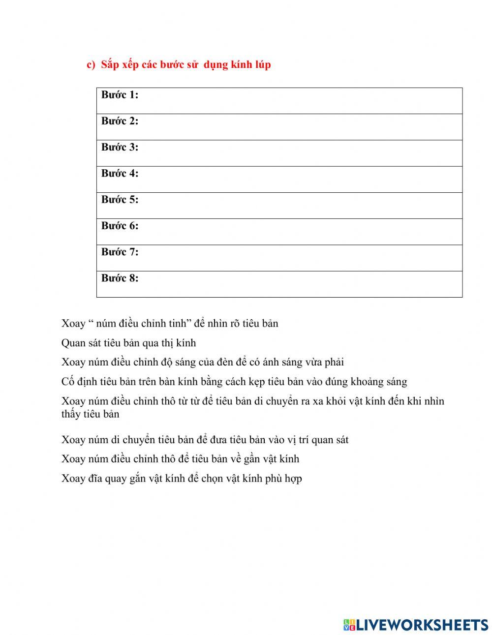 Kính lúp và kính hiển vi