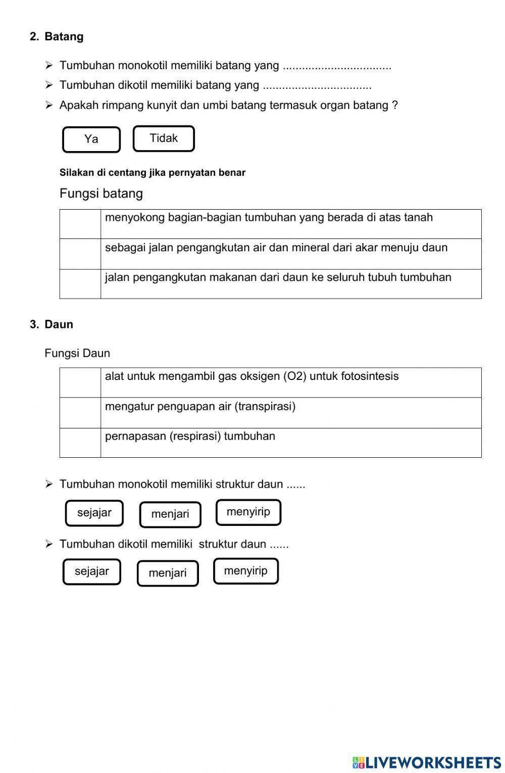 LKPD Struktur Fungsi Tumbuhan