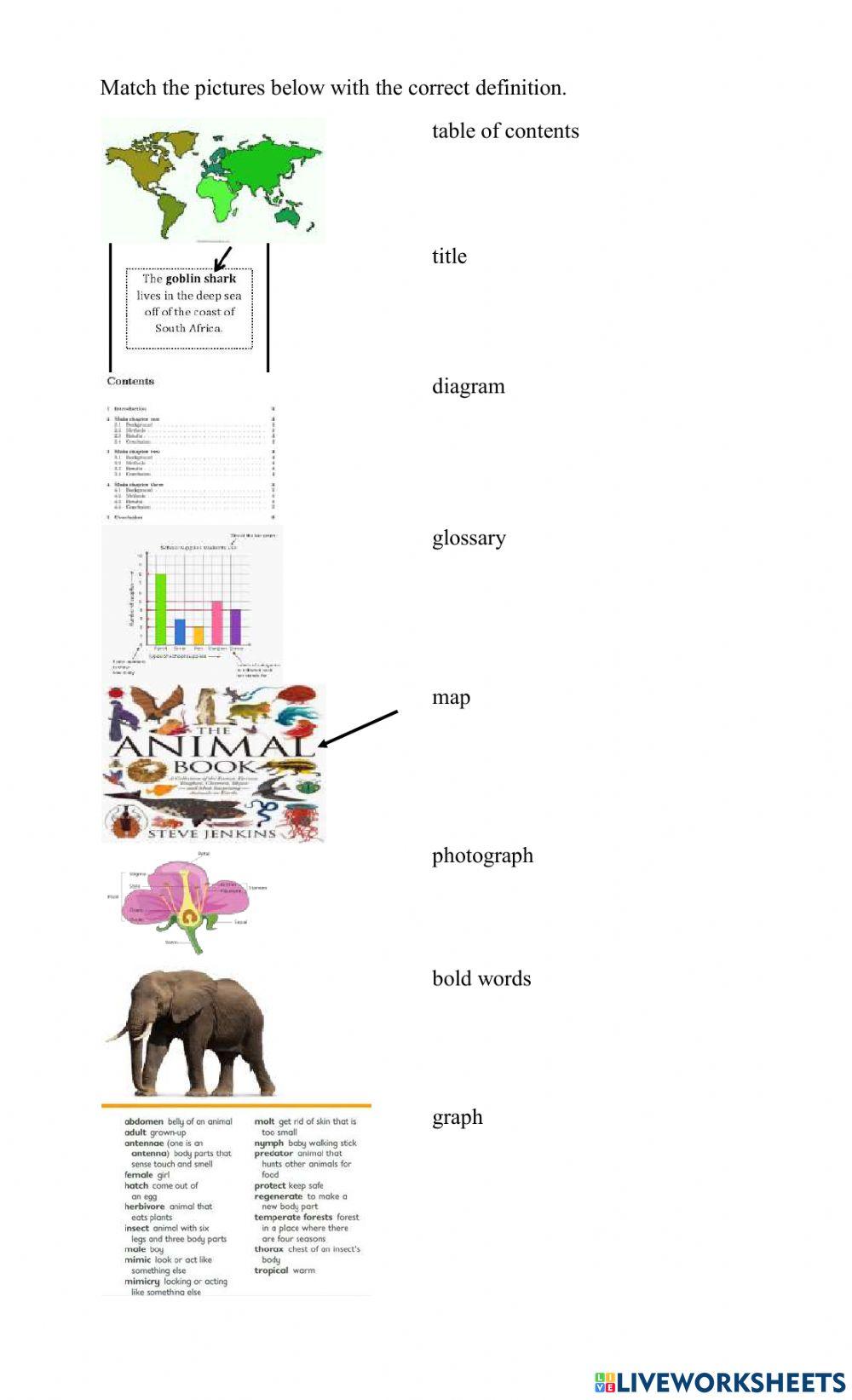 Text Features Worksheet