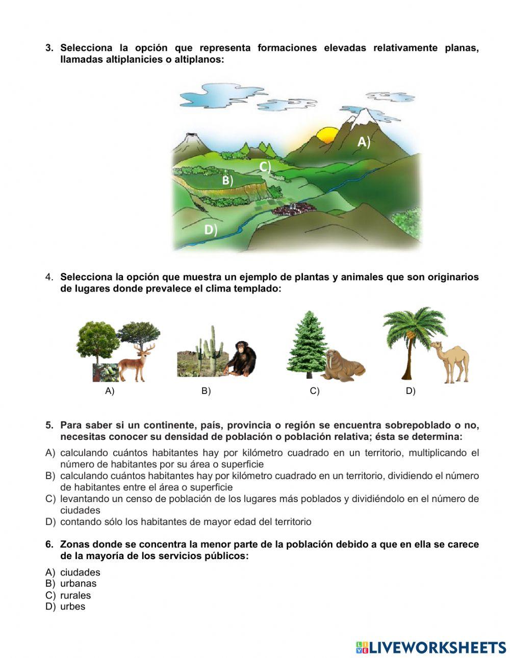 Examen Diagnóstico de Geografía 6º