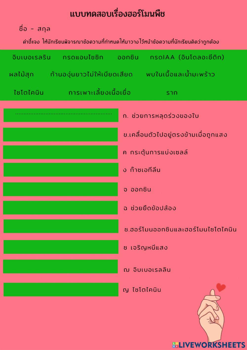 แบบฝึกกิจกรรมเรื่องฮอร์โมนพืช.