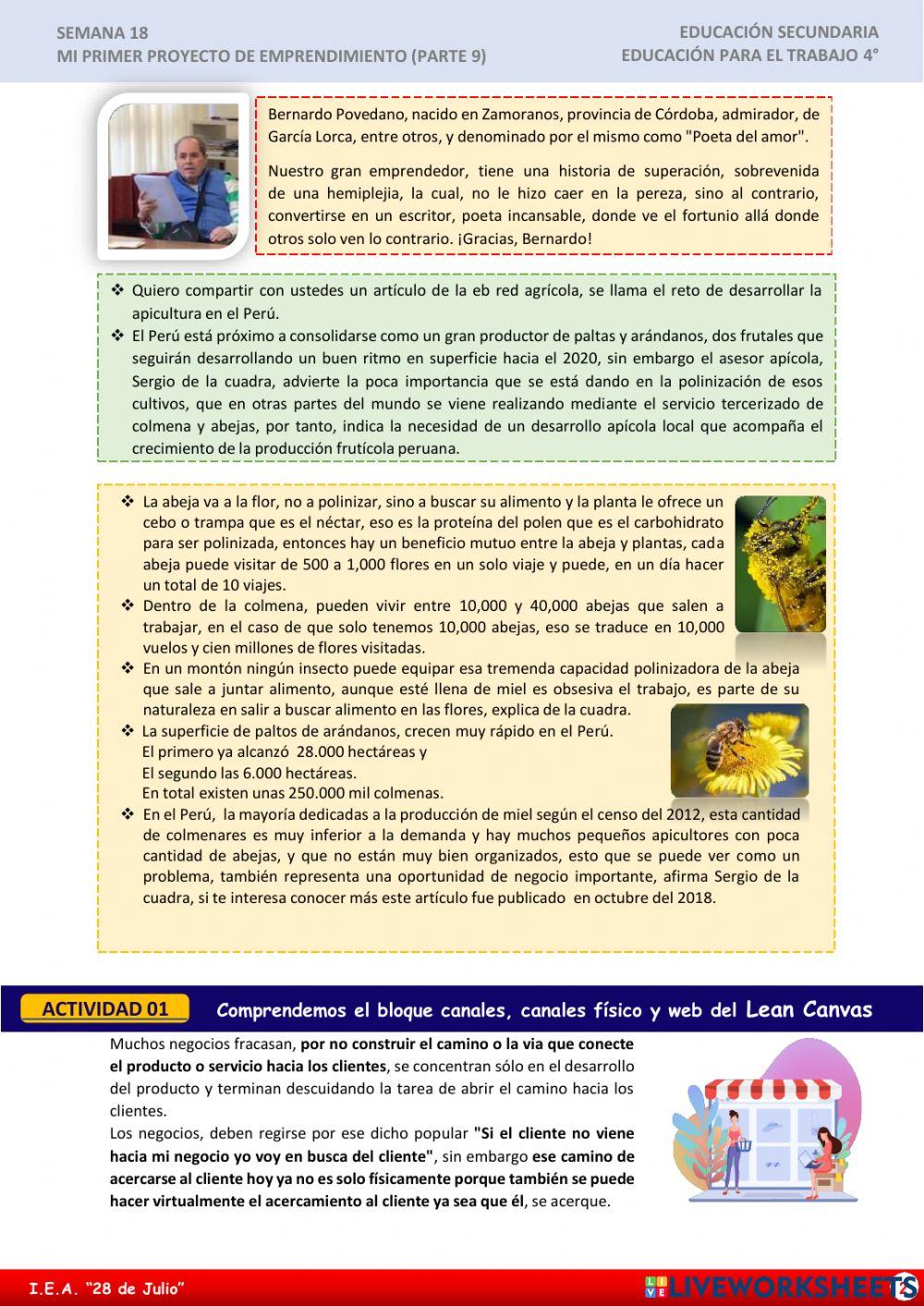 Mi primer proyecto de emprendimiento IX