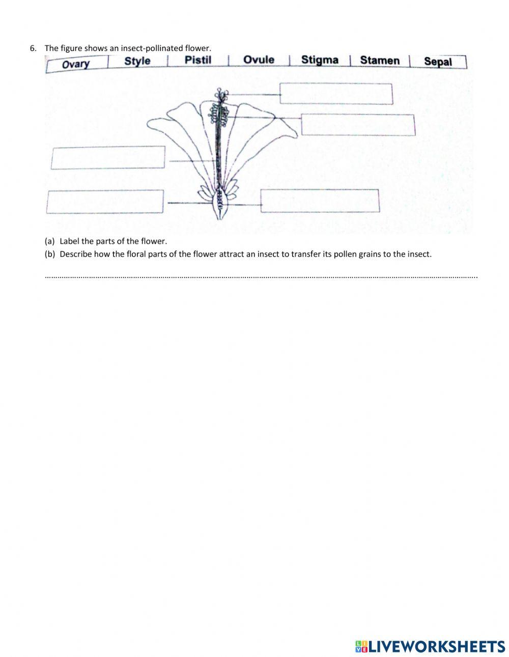 End of Topic Review Questions for Reproduction in Plant