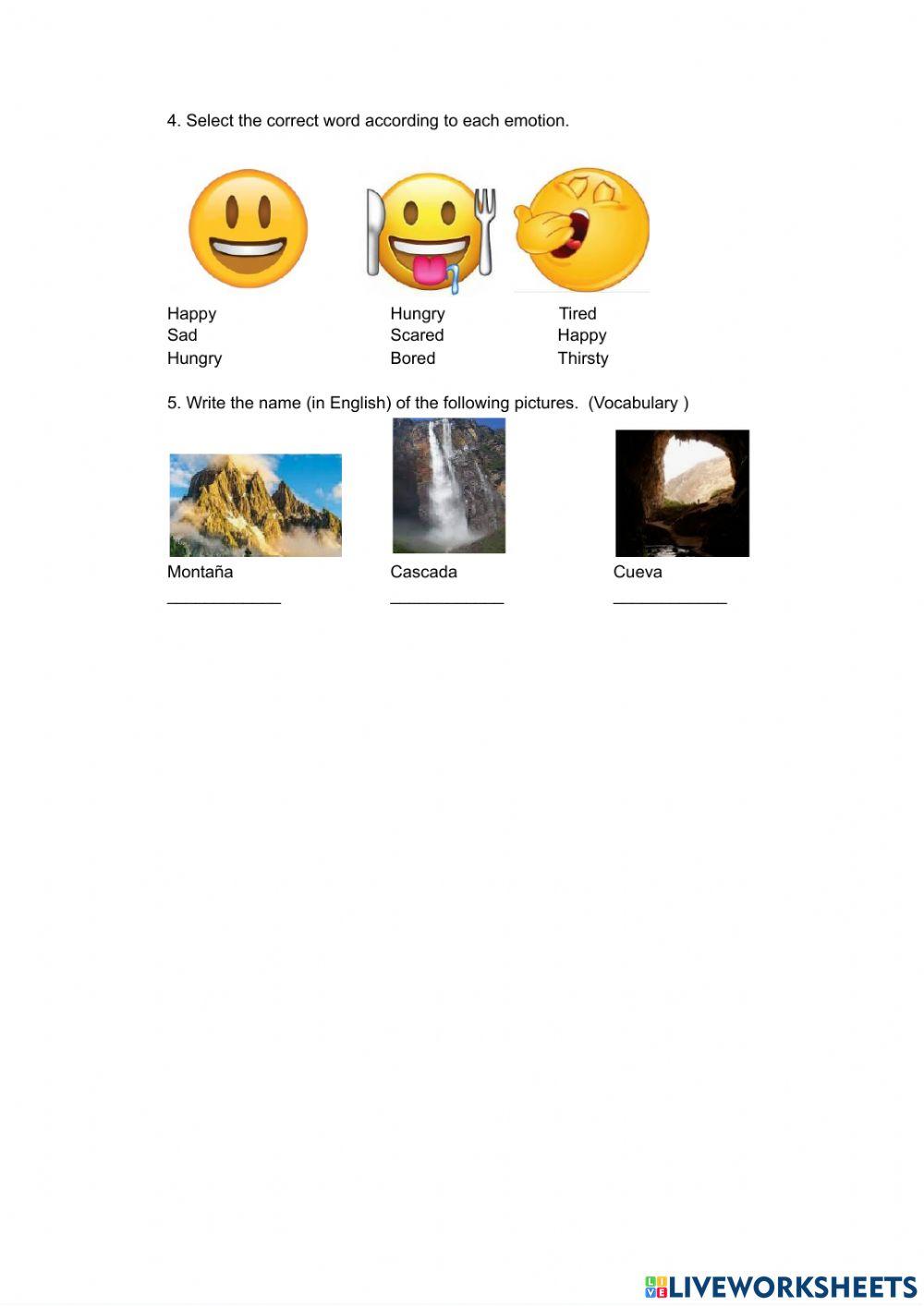 Diagnostic Test- 7th Grade