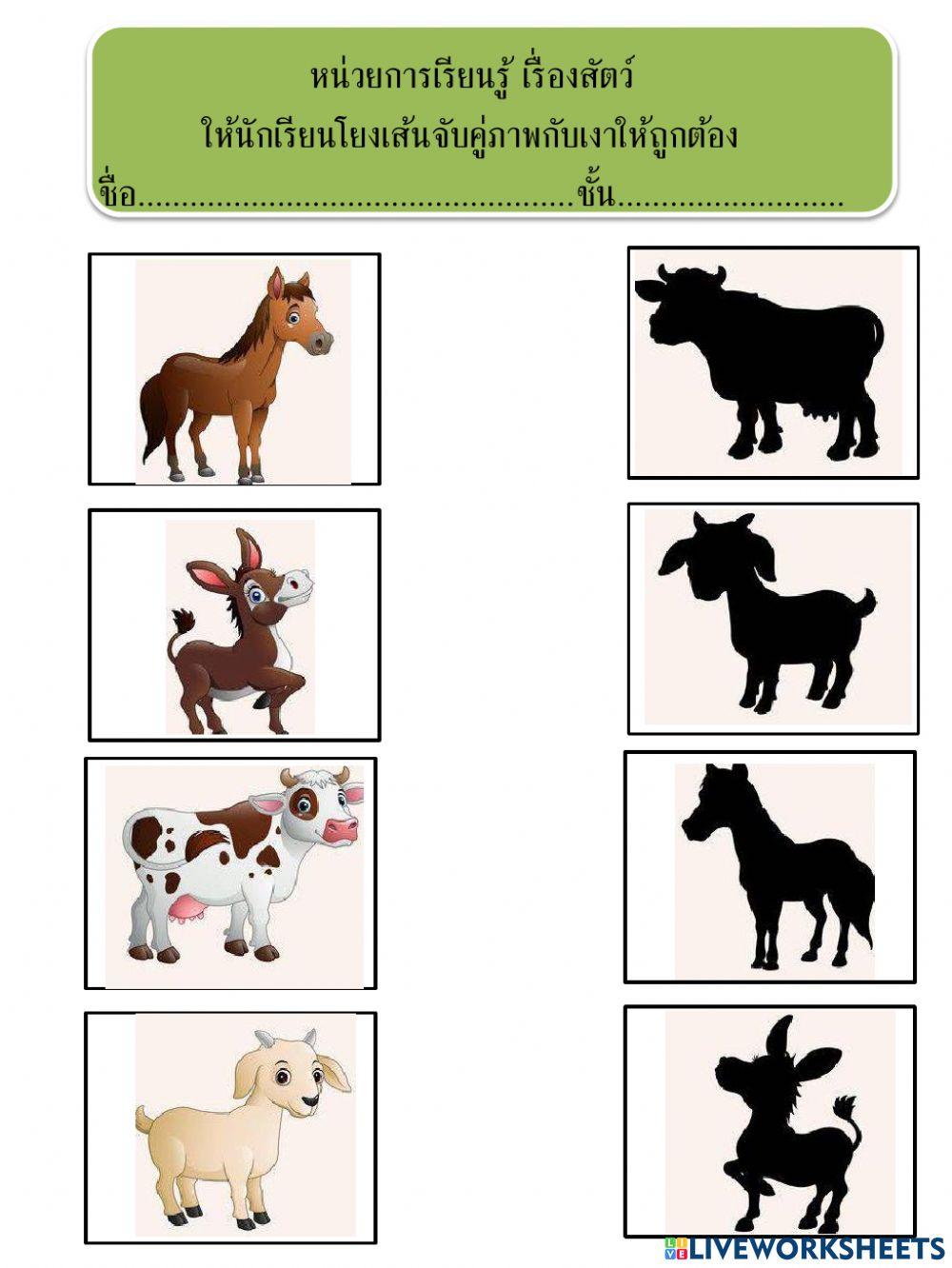 จับคุ่ภาพกับเงา