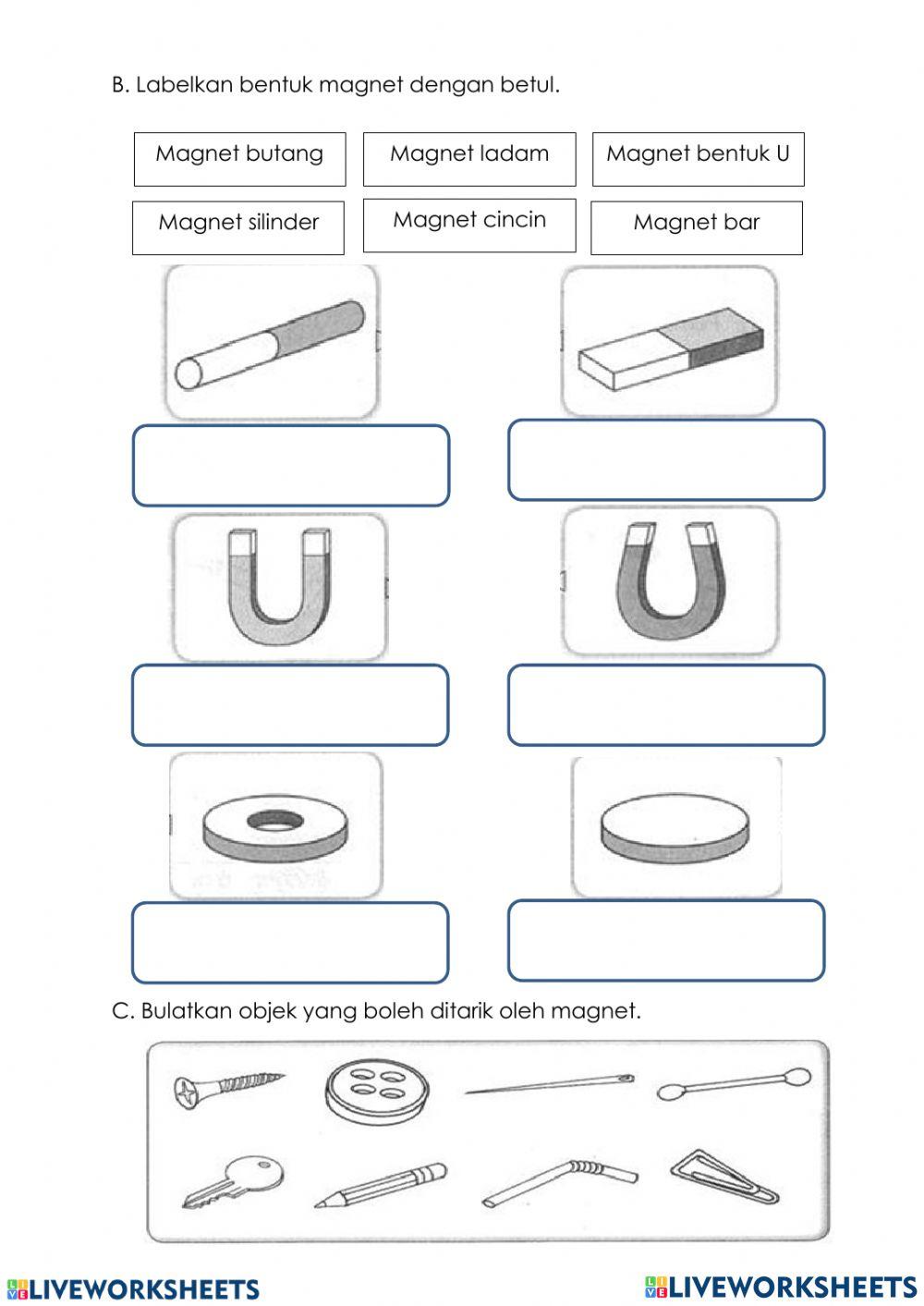Bentuk magnet tahun 1
