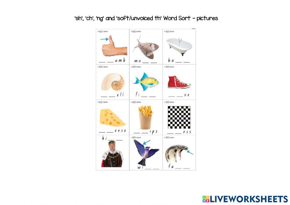 'sh' , 'ch', 'th' or 'ng'