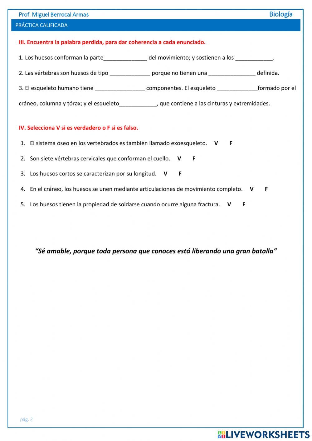 Sistema esquelético