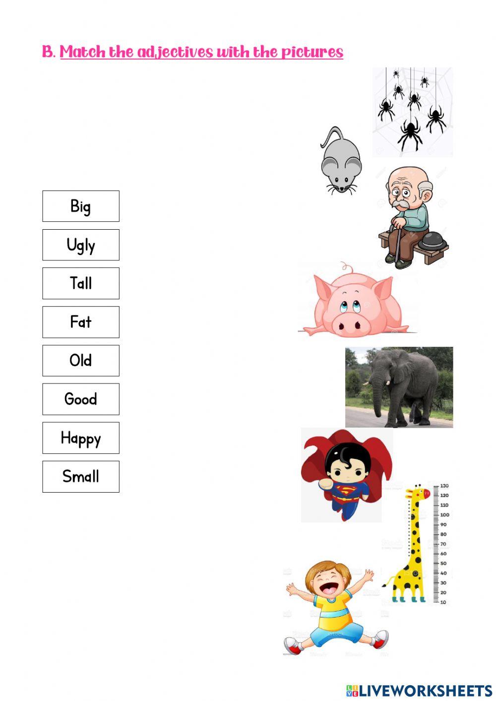 Second Grade Exam V Unit