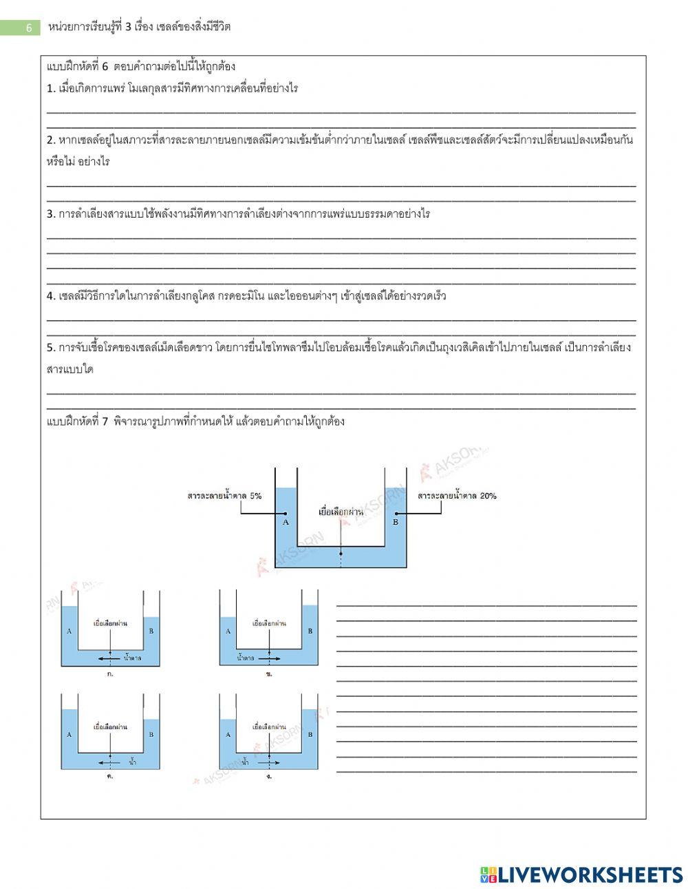 ม.4 แบบฝึกหัด เรื่อง เซลล์ของสิ่งมีชีวิต