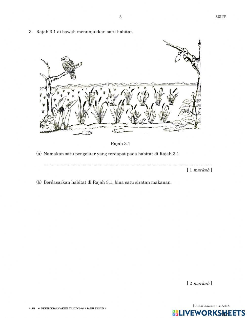 Soalan Kertas 2 Tahun 5