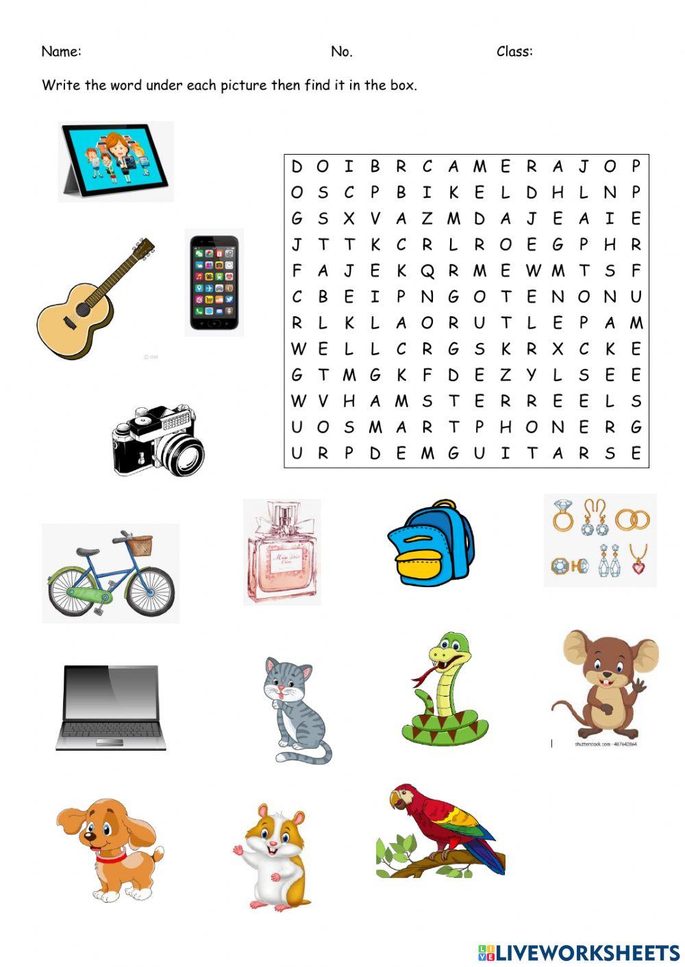 Vocabulary word search interactive worksheet | Live Worksheets