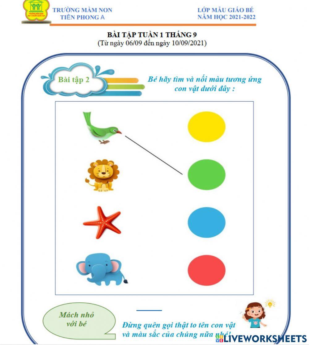 Bài tập tuần 1 tháng 9  Lớp MGB Trường MN Tiền Phong A