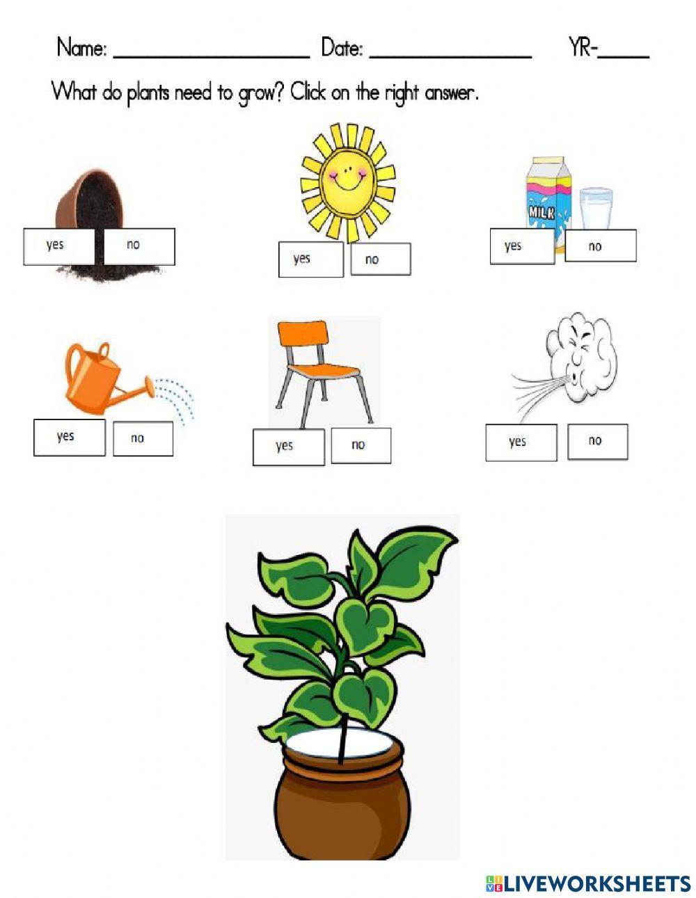 Review work online worksheet Live Worksheets