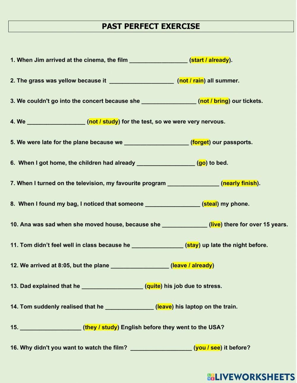 Past perfect practice