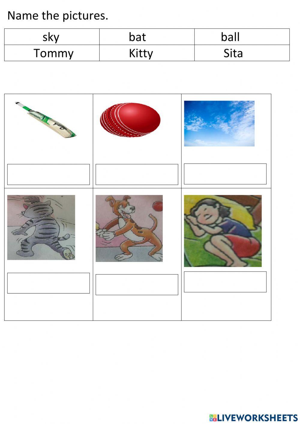 Name the picture Name the picture