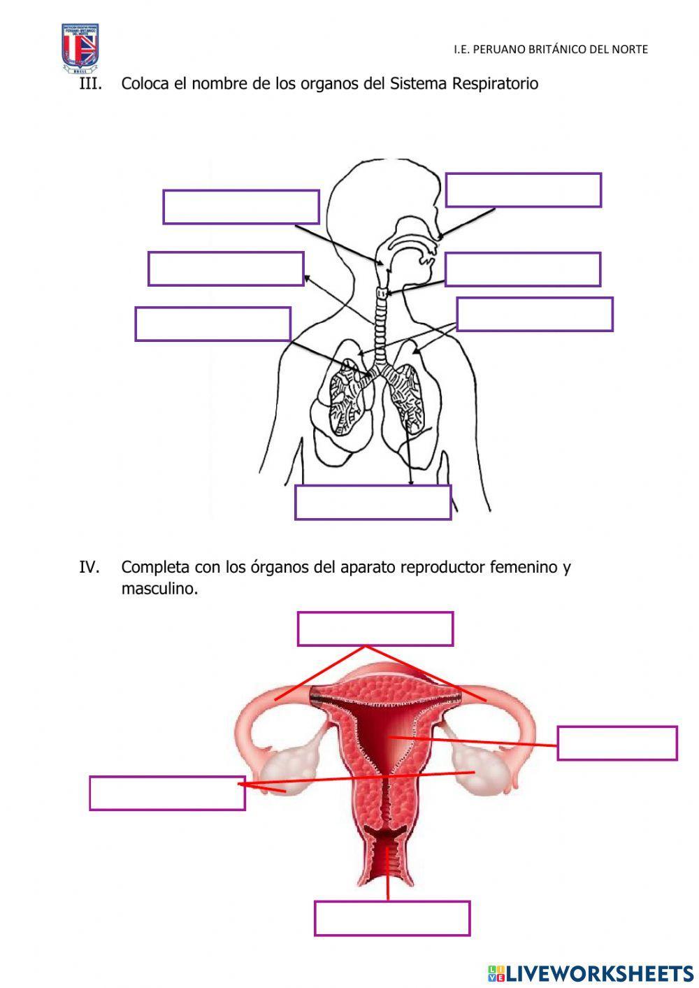 Evaluación de Ciencia