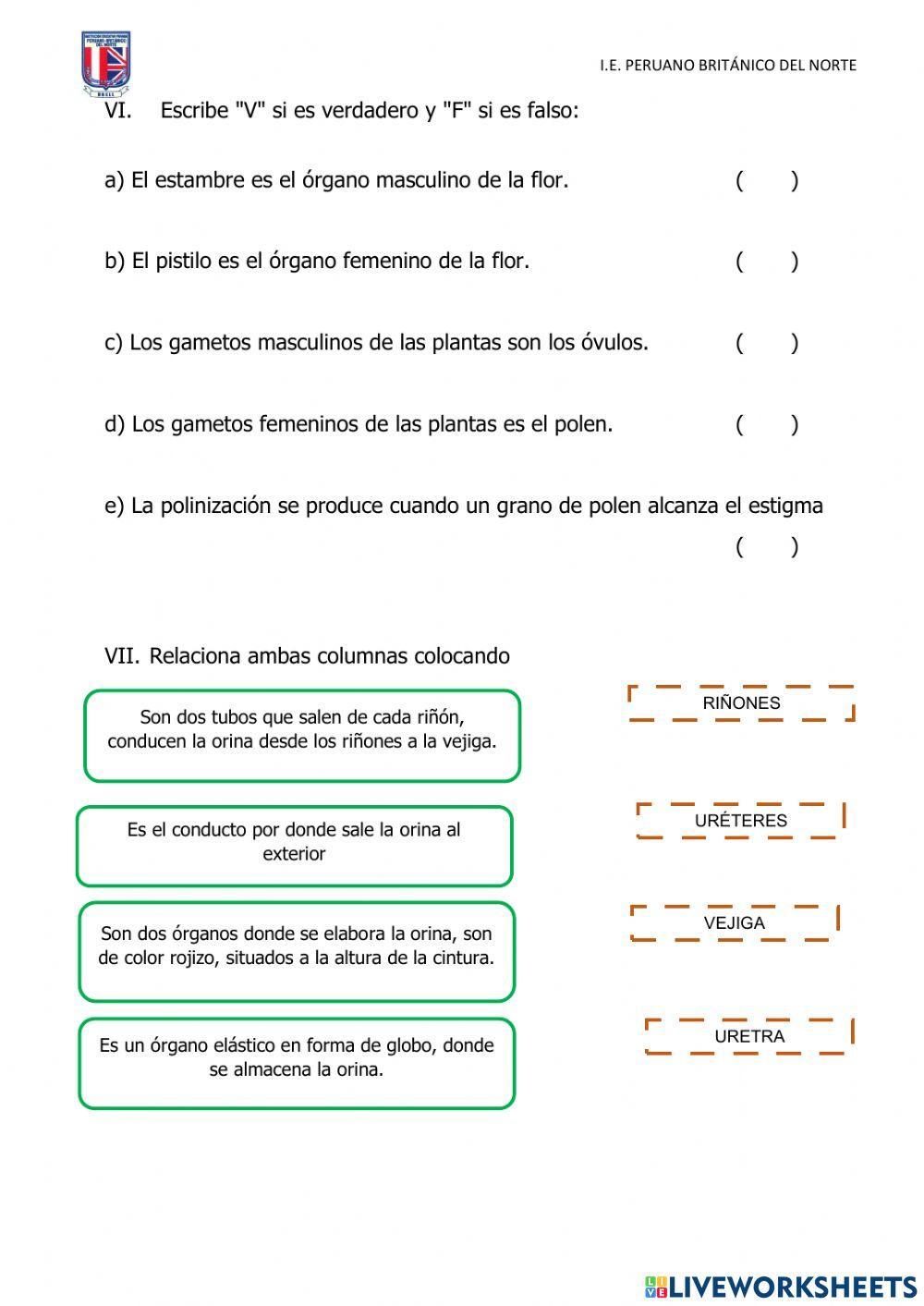 Evaluación de Ciencia