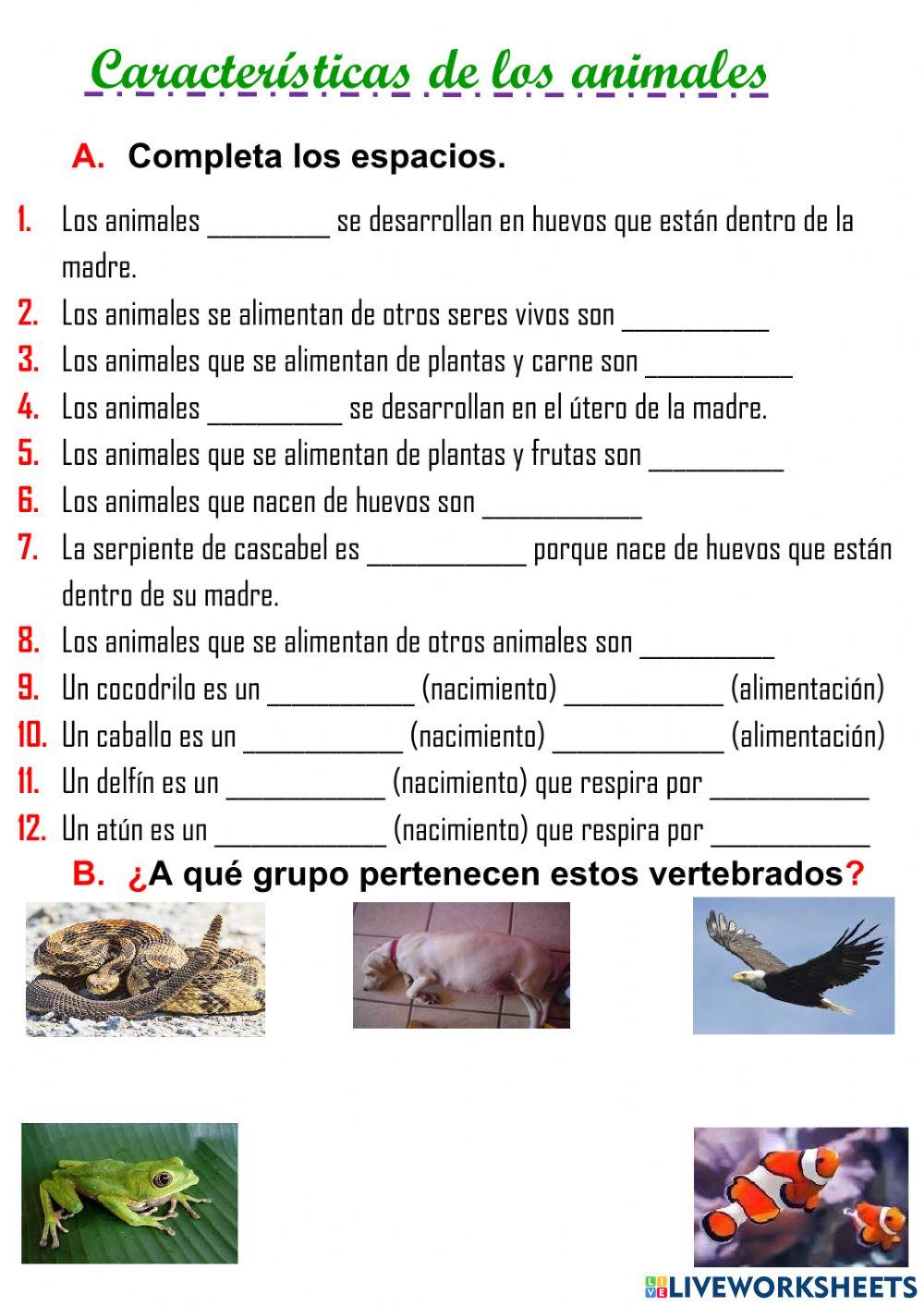 CARACTERÍSTICAS DE LOS ANIMALES
