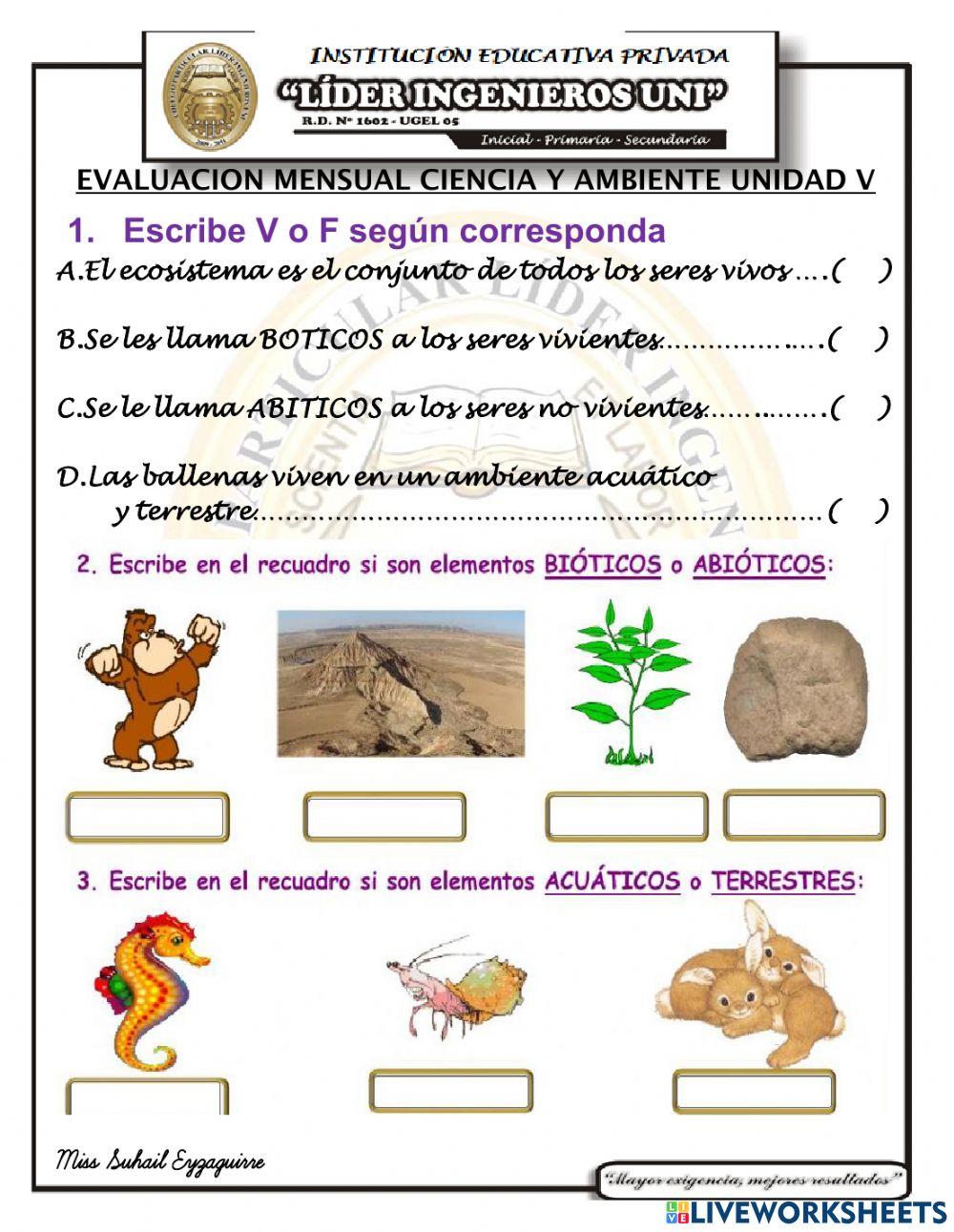 Examen mensual de ciencia y ambiente v unidad